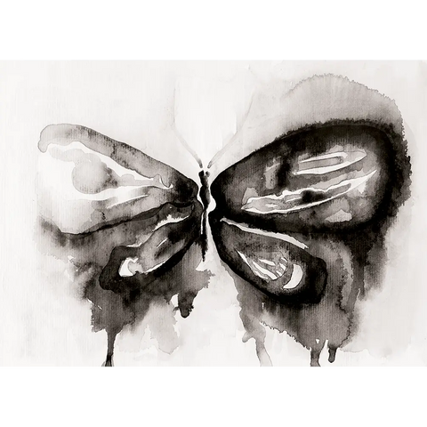 Black Butterfly - Poster ReStyle Interiör - Inredning online