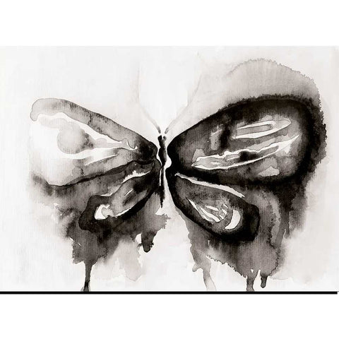 Black Butterfly - Poster ReStyle Interiör - Inredning online