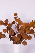 Eucalyptus Populus – Gul ReStyle Interiör - Inredning online
