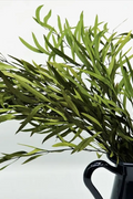 Konserverad Eucalyptus Nicoli ReStyle Interiör - Inredning online